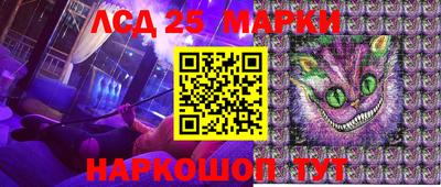 спиды Бийск